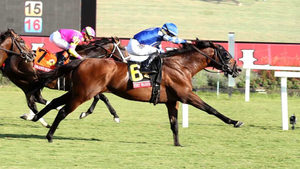 Racing dudes colonial downs: Datos y picks gratis para carreras americanas MasterBets365.com