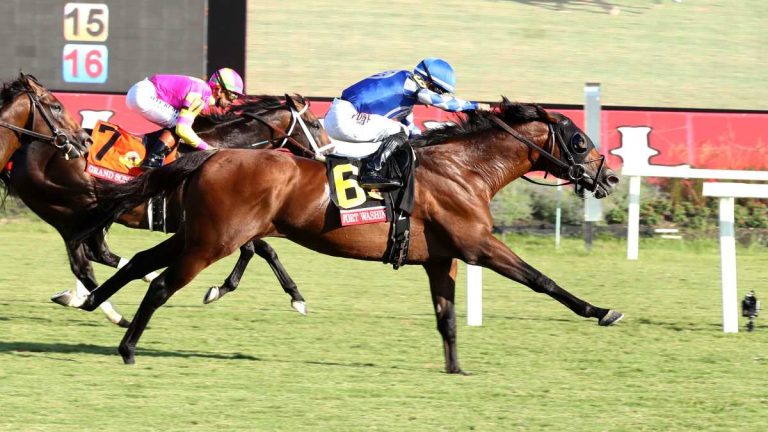 Racing dudes colonial downs: Datos y picks gratis para carreras americanas MasterBets365.com