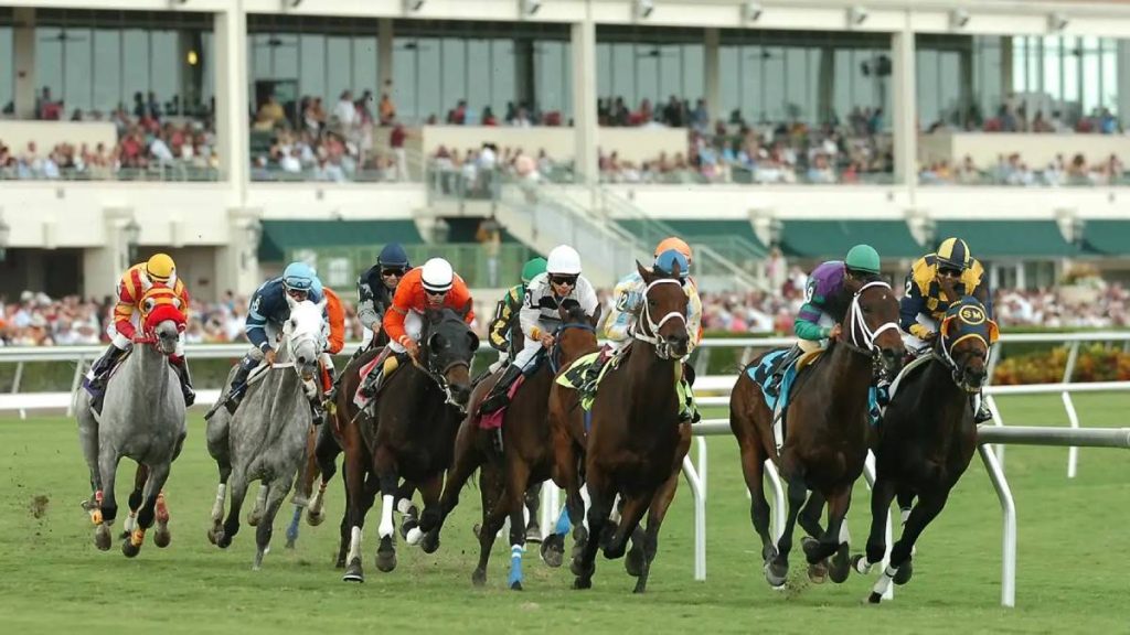 Datos Fijos de Gulfstream Park 13 de septiembre Carrera americanas MasterBets365