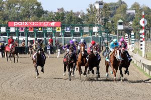 Datos parx racing hoy: Resultados de las carreras americanas de hoy MasterBets.com