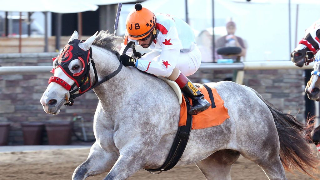 Horseshoe Indianapolis en vivo: Apuestas de caballos internacionales MasterBets365.com