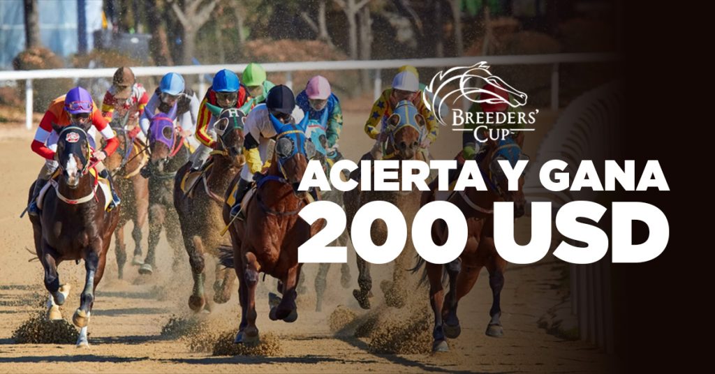 Breeders' Cup 2025 GANA $200 en MasterBets365 apuestas Hipismo internacional