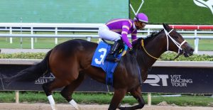 Carreras americanas Datos y Picks Gratis Gulfstream Park hoy 26 de Octubre MasterBets365