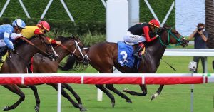 Datos de carreras americanas Gulfstream Park hoy 12 de Octubre MasterBets365