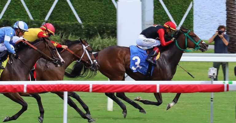 Datos de carreras americanas Gulfstream Park hoy 12 de Octubre MasterBets365