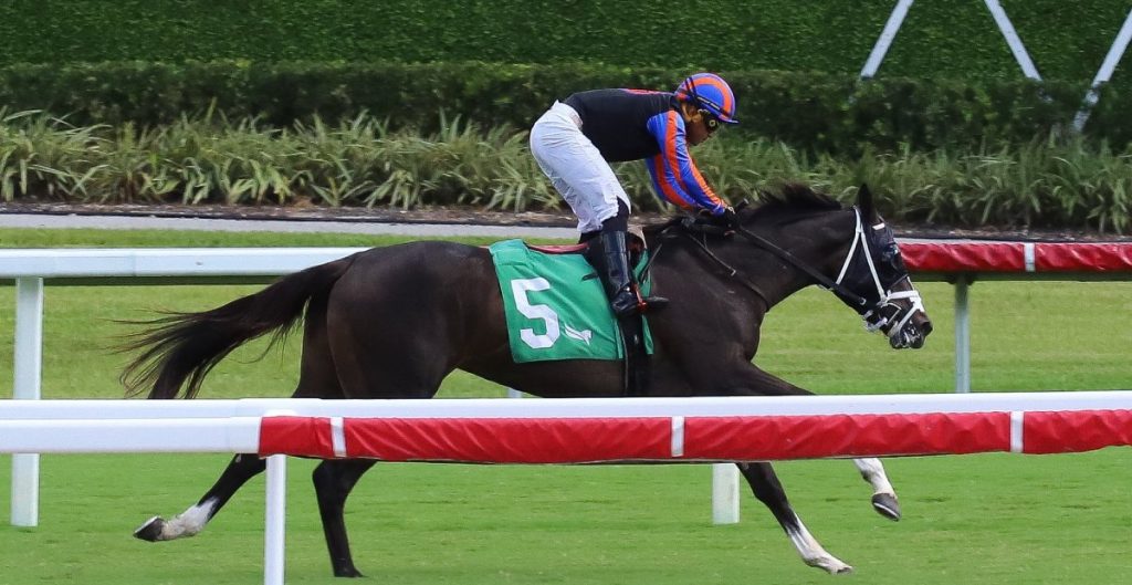 Datos fijos de Gulfstream Park 18 de Octubre - Retrospecto, Results and Stakes MasterBets365365