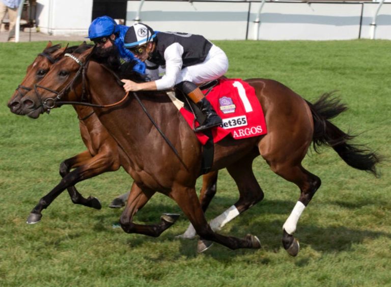 Woodbine resultados: Tabla de dividendos carreras americanas MasterBets365.com