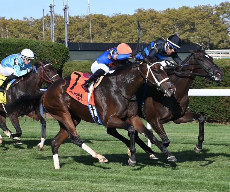 Belmont park en vivo: Hipismo Internacional en vivo hoy MasterBets365.com