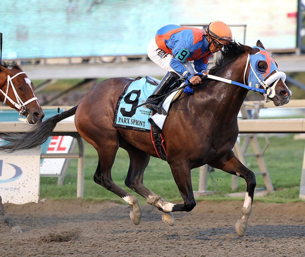 Best bet Parx Racing: Retrospecto de carreras americanas para hoy MasterBets365.com