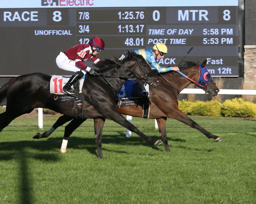 Horseshoe indianapolis en vivo: Datos hipismo internacional MasterBets365.com