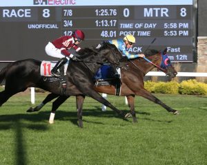 Horseshoe indianapolis en vivo: Datos hipismo internacional MasterBets365.com