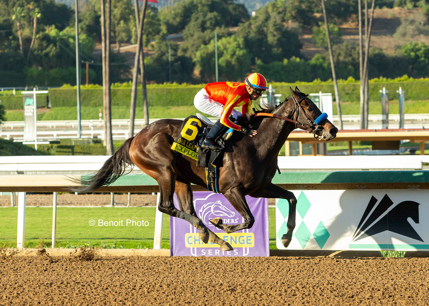 Santa anita park resultados de hoy: Hipismo Internacional en vivo hoy MasterBets365.com