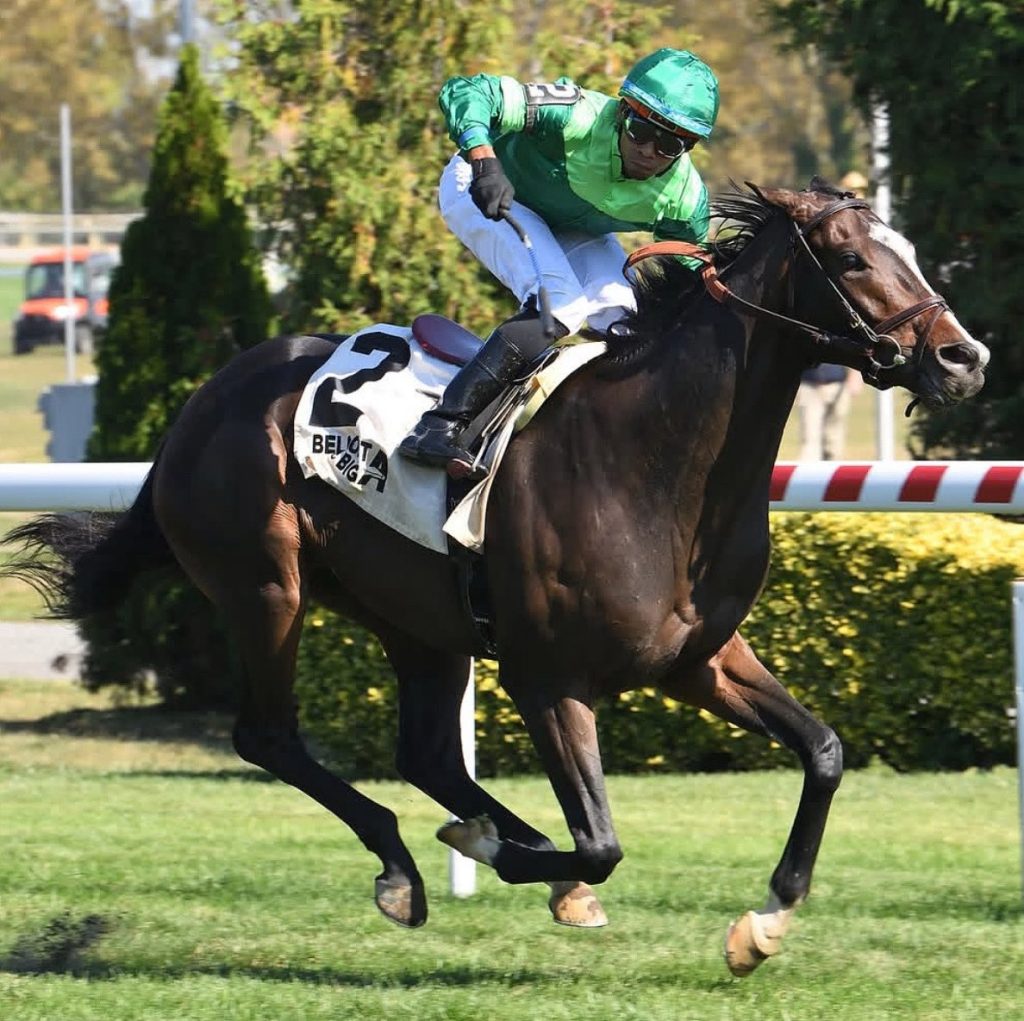 Resultados belmont at the big: Tabla de dividendos de caballos americanos MasterBets365.com