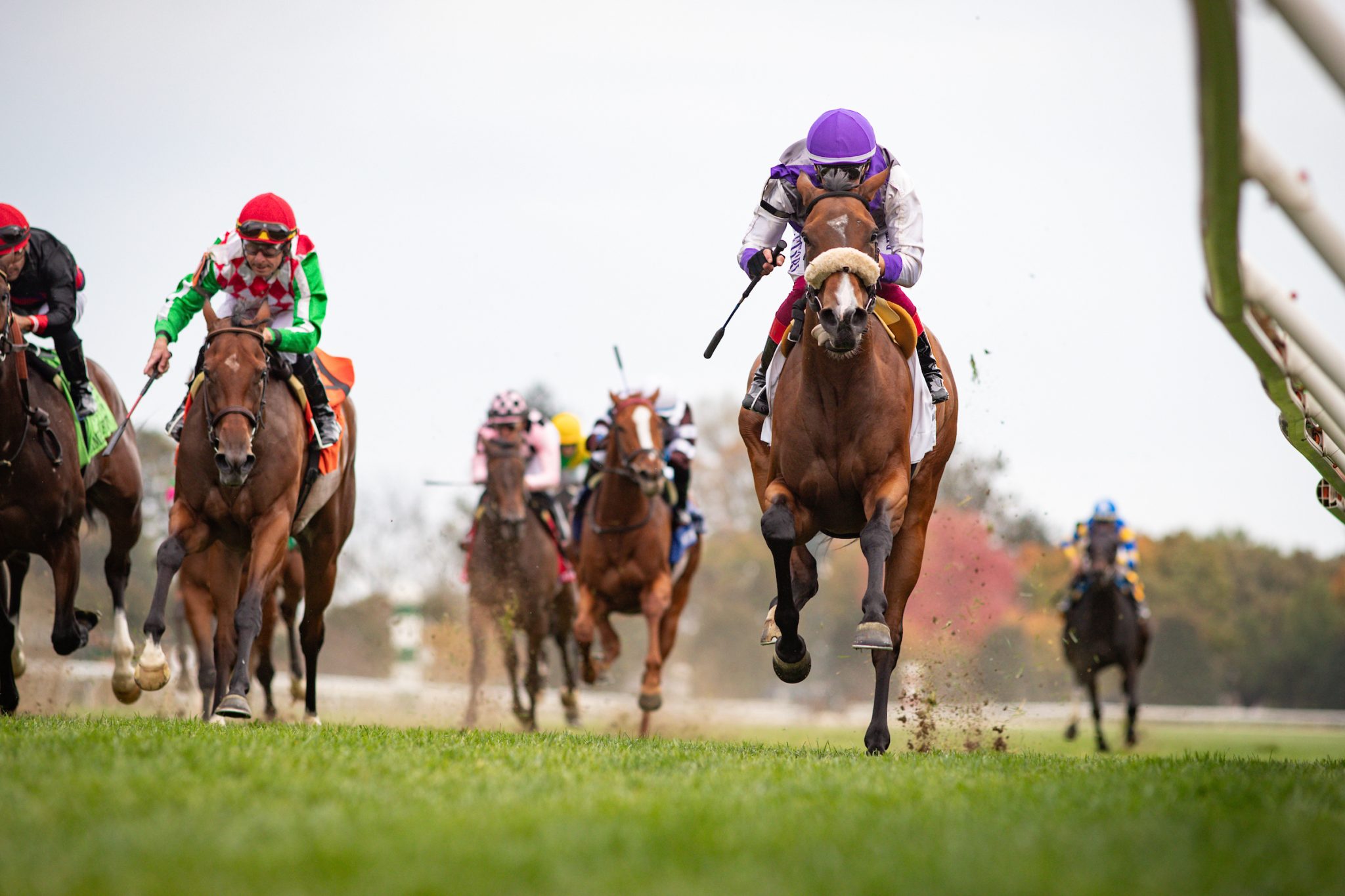 Resultados keeneland: Apuestas de caballos internacionales MasterBets365.com