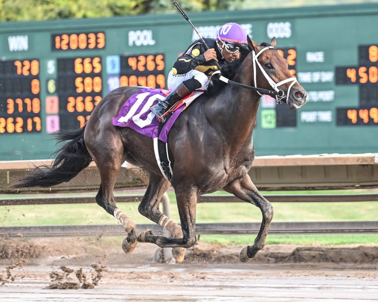 Resultados finger lakes: Marcas para las carreras americanas MasterBets.com