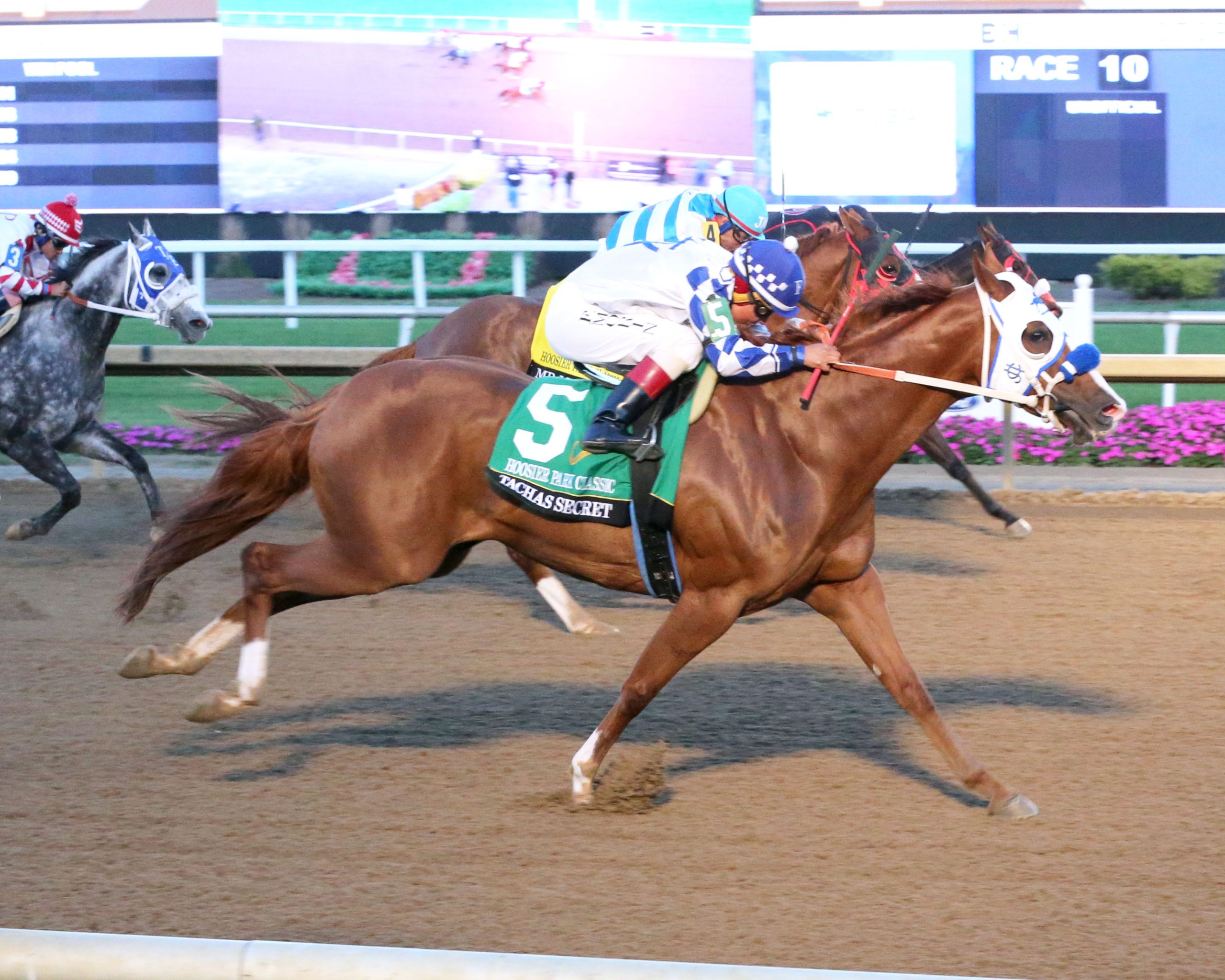 Horseshoe indianapolis en vivo: Resultados carreras americanas hoy MasterBets365.com