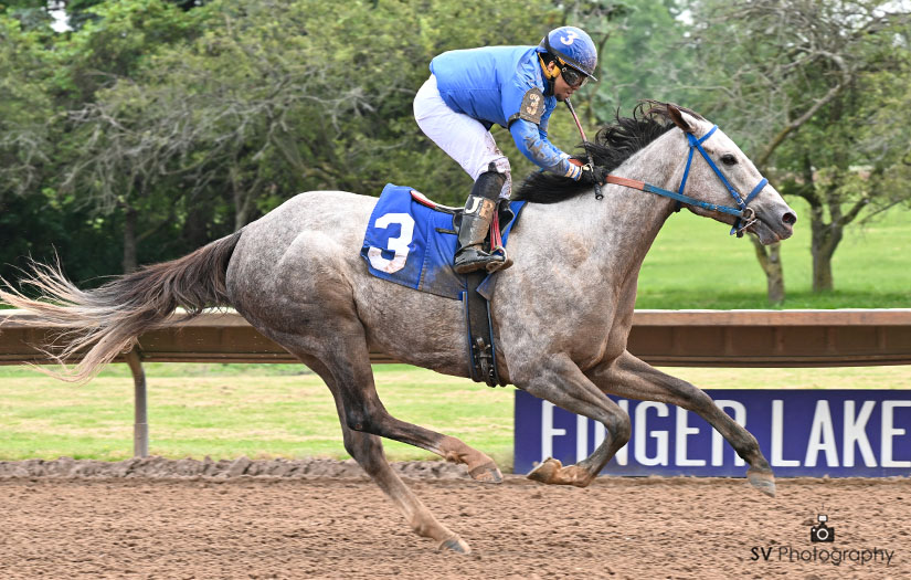 Resultados Finger Lakes: Retrospecto de carreras americanas para hoy MasterBets365.com