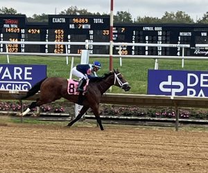 Datos delaware park: Retrospecto de carreras americanas para hoy MasterBets365.com