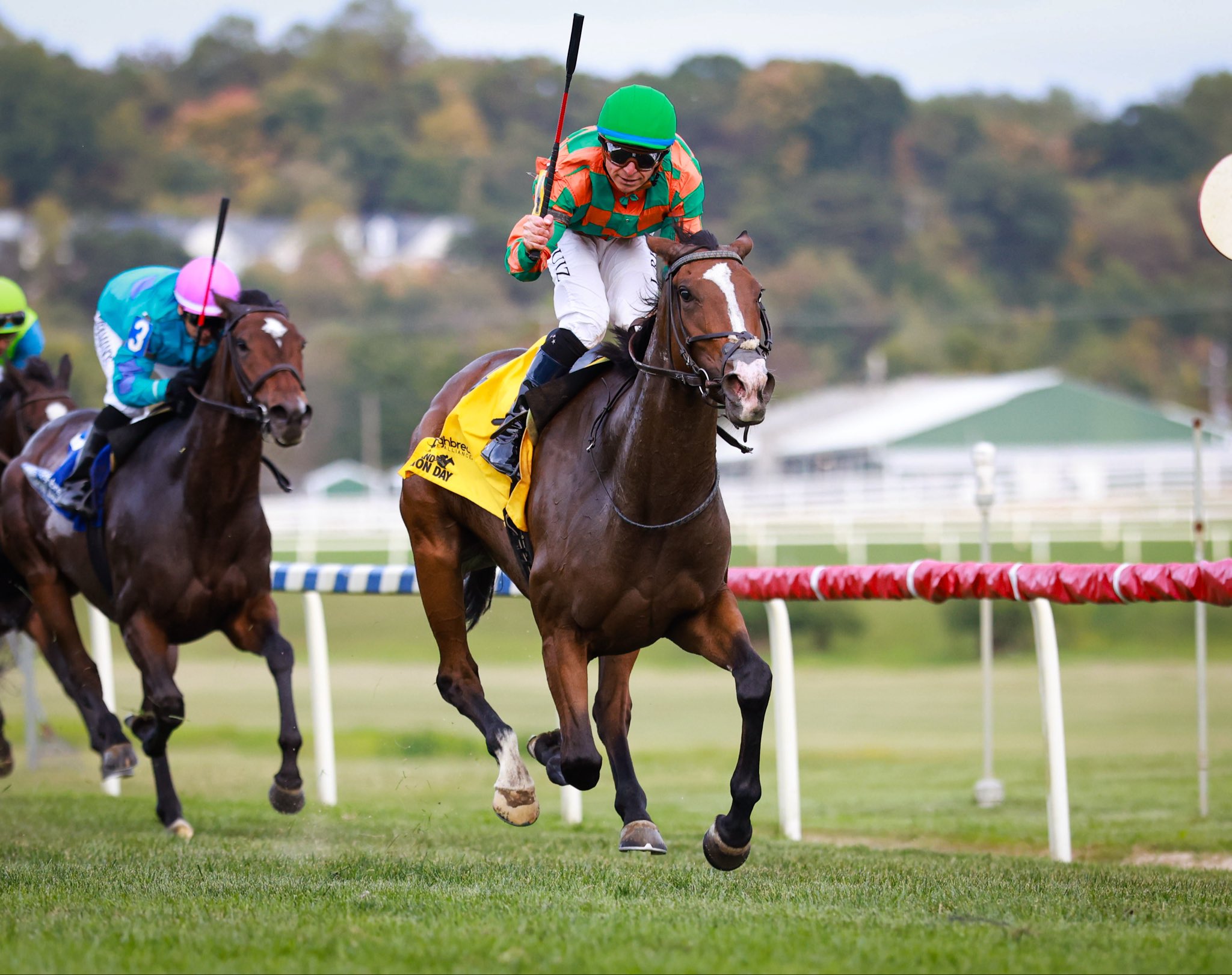Marcas laurel park: Tabla de dividendos de caballos americanos MasterBets365.com