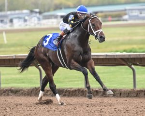 Finger lakes en vivo: Marcas carreras americanas MasterBets365.com