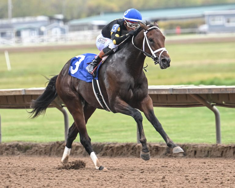 Finger lakes en vivo: Marcas carreras americanas MasterBets365.com