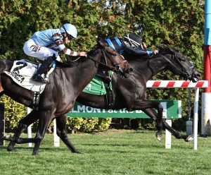 Resultados belmont at the big: Dividendos carreras americanas MasterBets365.com