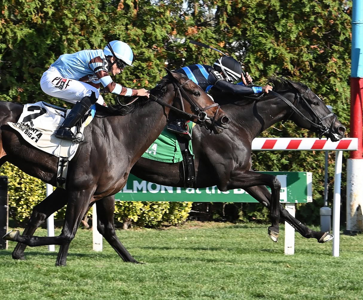 Resultados belmont at the big: Dividendos carreras americanas MasterBets365.com