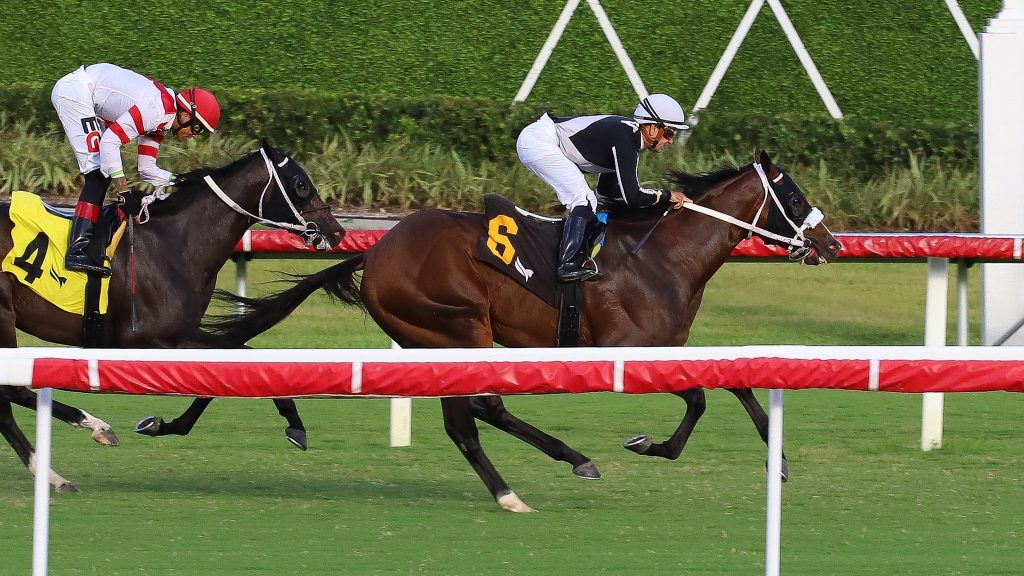 Gulfstream park en vivo: Resultados carreras americanas hoy MasterBets365.com