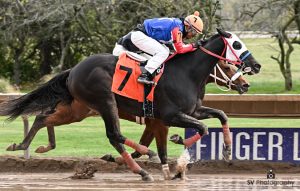 Hipismo internacional en vivo: Datos de finger lakes MasterBets365.com