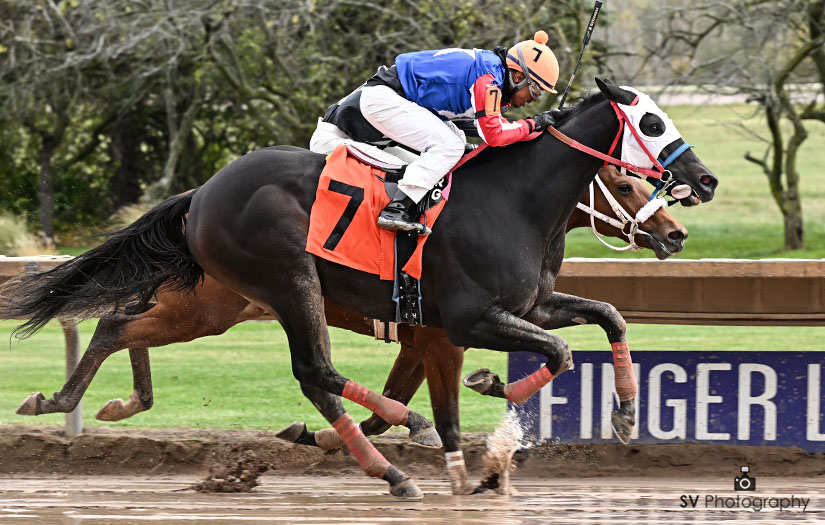Hipismo internacional en vivo: Datos de finger lakes MasterBets365.com