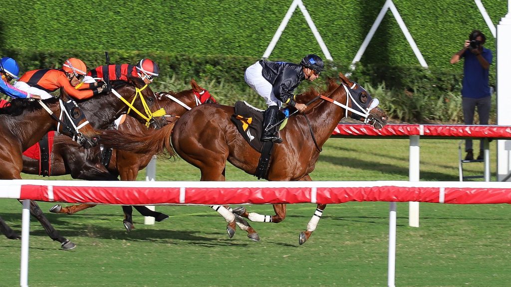 Retrospecto gulfstream park: Apuestas de caballos internacionales MasterBets365.com