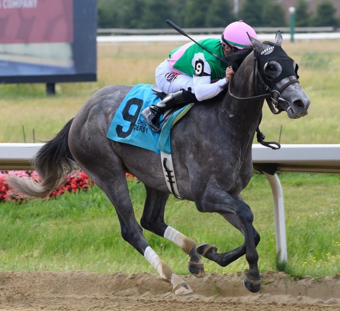 Racing dudes thistledown: Hipismo Internacional en vivo hoy MasterBets365.com