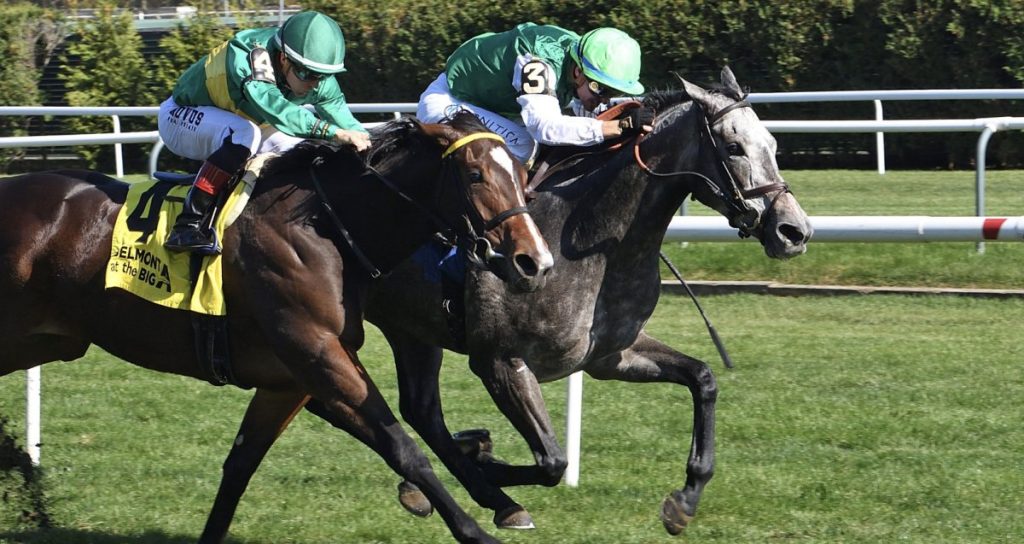 Datos Belmont At The Big A Picks for today MasterBets365