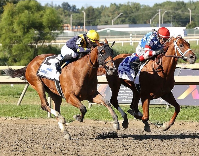 Marcas parx racing: Tabla de dividendos de caballos americanos MasterBets365.com