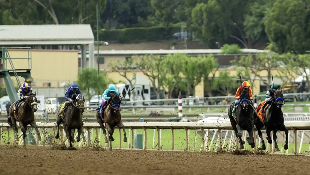 Santa Anita Park en vivo hoy: Retrospecto de carreras americanas para hoy Masterbets365.com