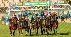 Belmont at the big a entries: Retrospecto de carreras americanas para hoy MasterBets365.com