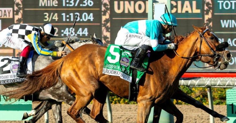 Retrospecto Santa Anita Park hoy 11 de Octubre MasterBets365 pronostico hipismo internacional