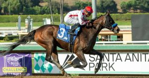 Santa Anita Park datos y fijos apuestas hipismo internacional MasterBets365