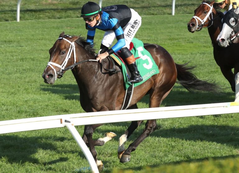 Datos de belmont park hoy gratis: Apuestas de caballos internacionales MasterBets365.com