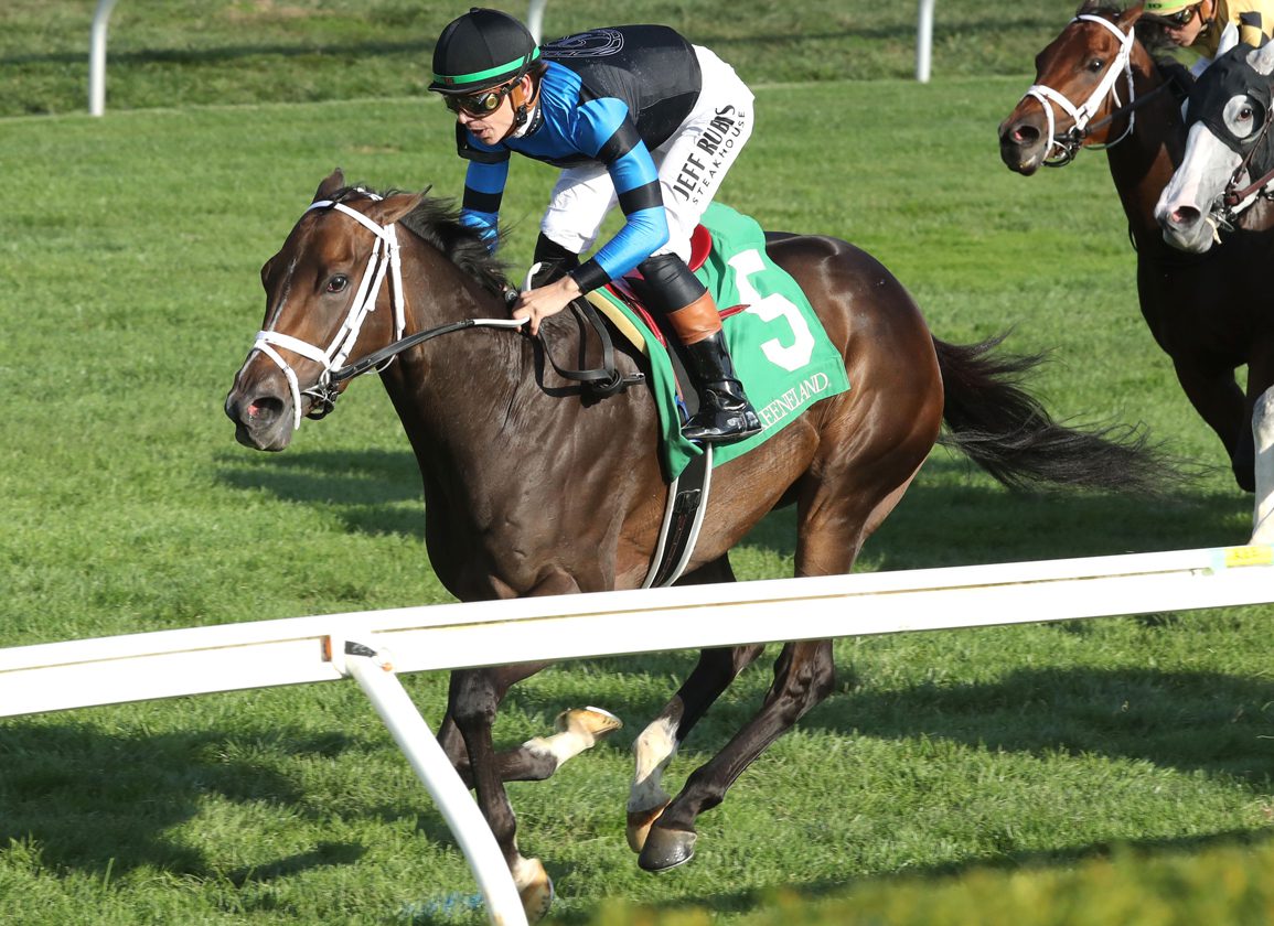 Datos de belmont park hoy gratis: Apuestas de caballos internacionales MasterBets365.com