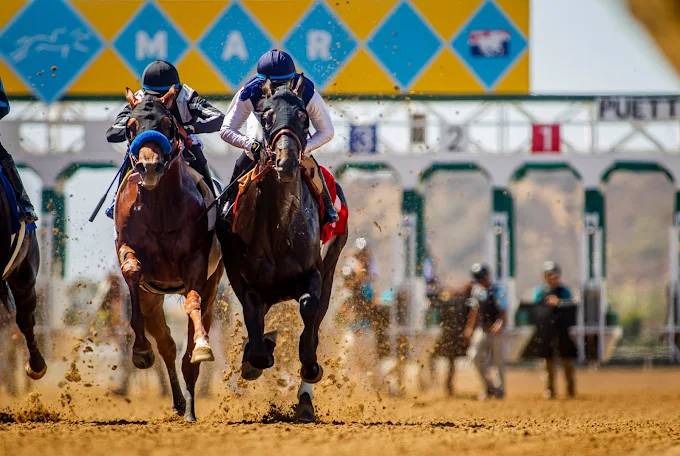 Hipódromo del mar en vivo hoy: Retrospecto de carreras americanas para hoy MasterBets.com