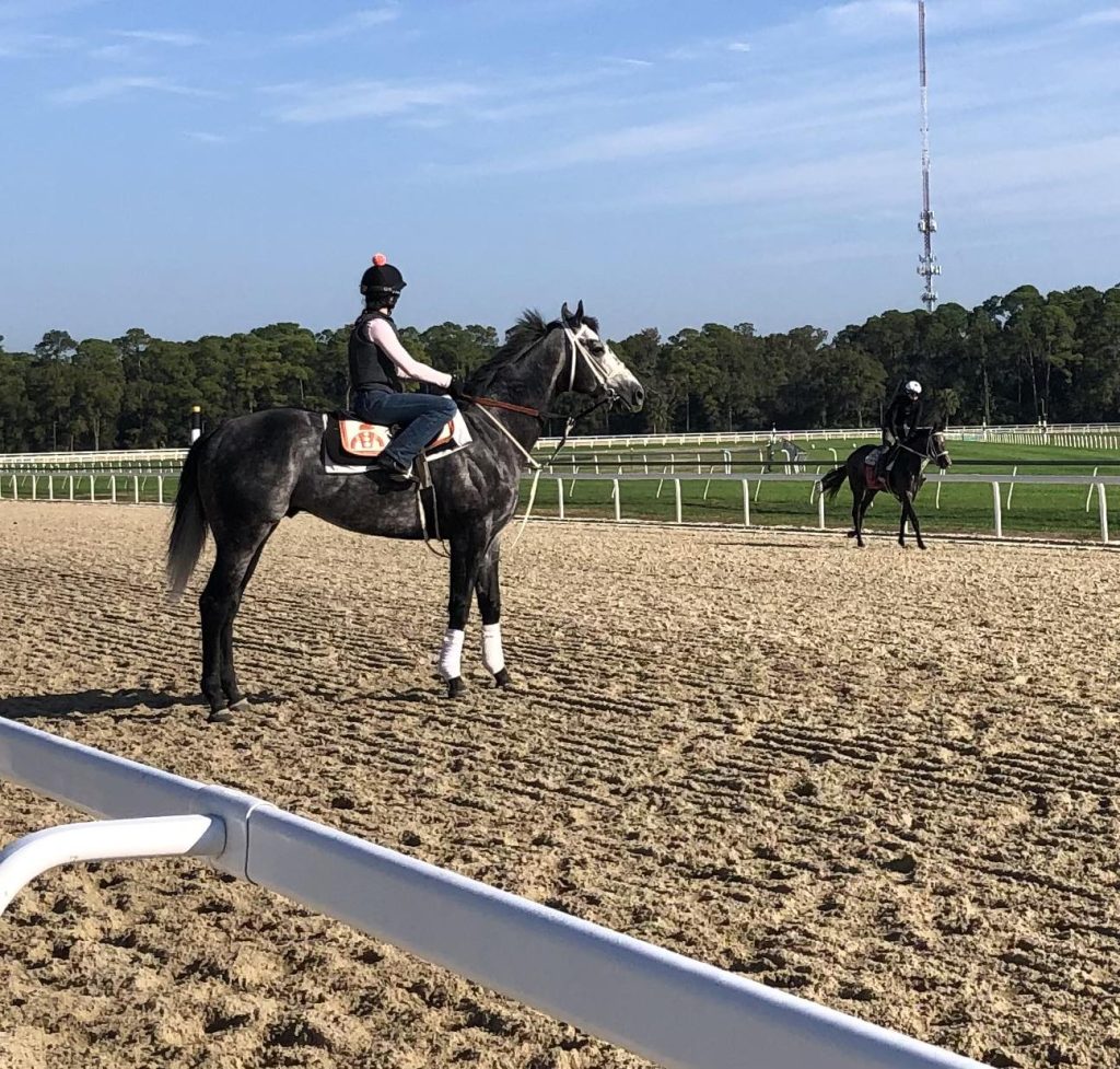 Tampa bay downs picks: Resultados de las carreras americanas de hoy MasterBets.com