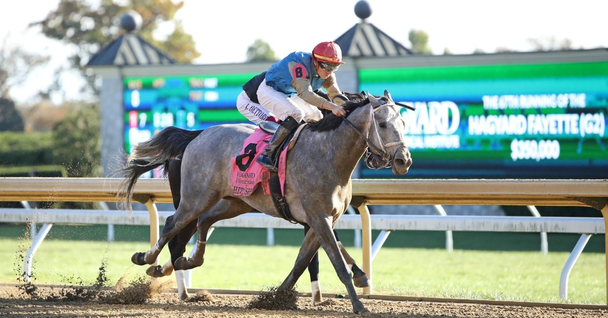 Carreras americanas Churchill Downs hoy 16 de noviembre MasterBets365 apuestas hipicas