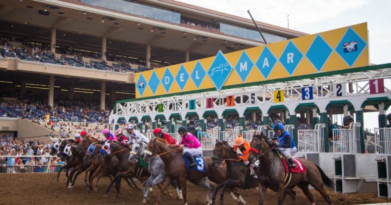 Datos Hipódromo Del Mar hoy 23 de noviembre MasterBets365