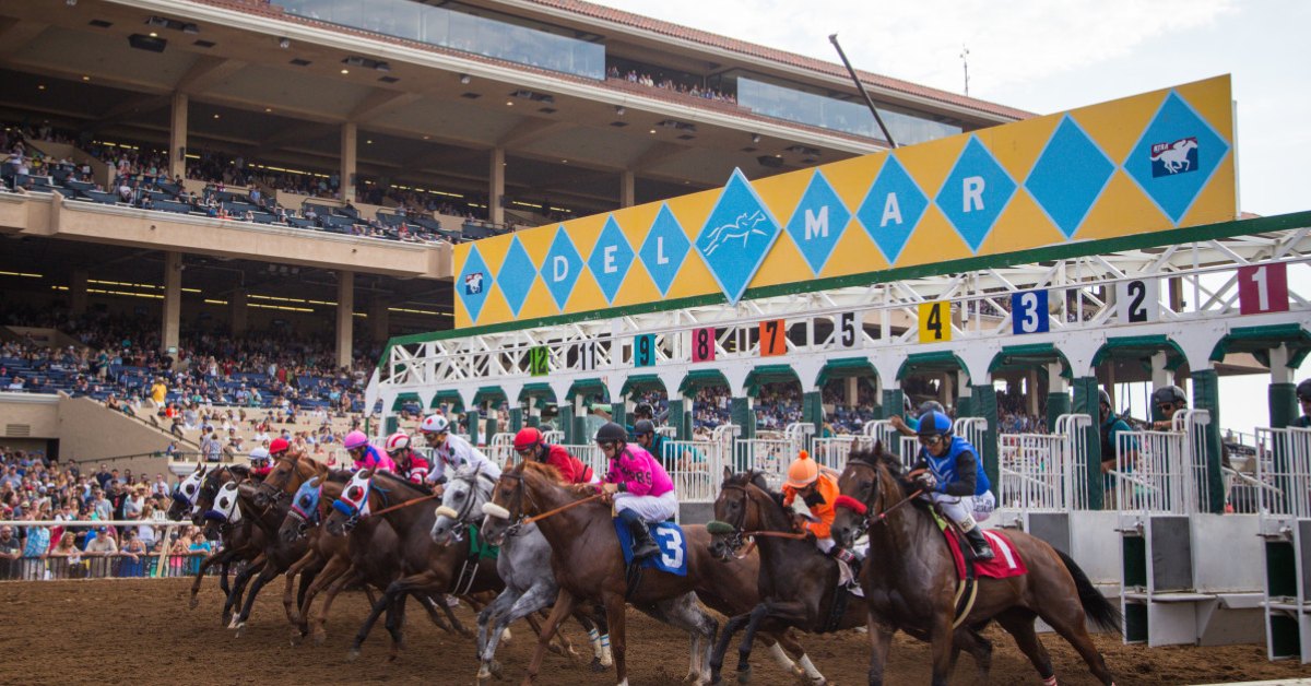 Datos Hipódromo Del Mar hoy 23 de noviembre MasterBets365
