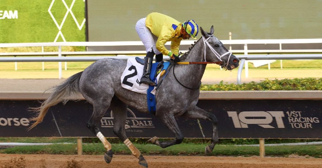 Datos fijos de Gulfstream Park 9 de noviembre MasterBets365 ultimos datos gratis carreras americanas