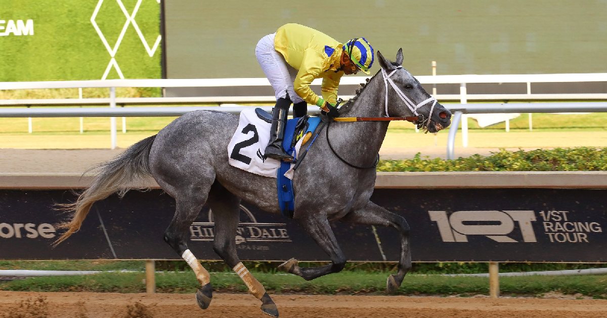 Datos fijos de Gulfstream Park 9 de noviembre MasterBets365 ultimos datos gratis carreras americanas
