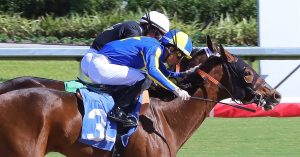 Datos fijos de Gulfstream Park hoy 22 de noviembre MasterBets365 pronosticos hipicos