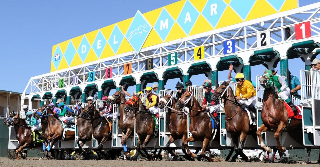 Datos para Del Mar hoy 22 de noviembre - Hipódromos internacionales MasterBets365