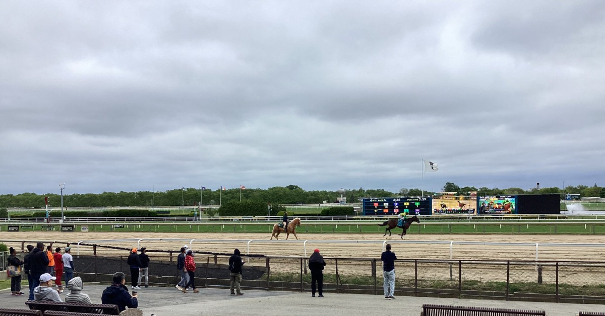 Datos y Picks de Carreras del hipódromo de Aqueduct hoy 29 de noviembre MasterBets365